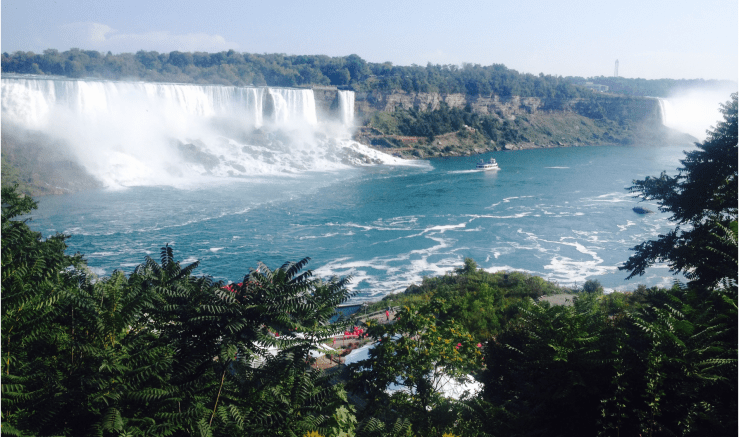 Screen Shot 2016-04-27 at 8.45.50 PM