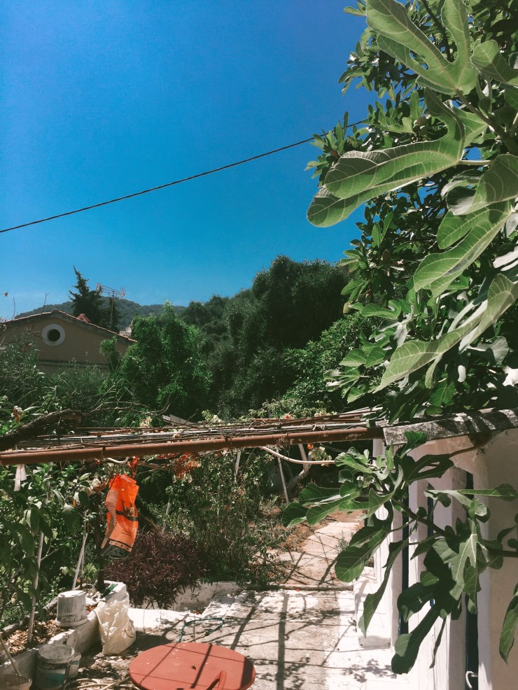 B4E2D2CE-C291-49F0-A7CF-EDDE2D3F54B0