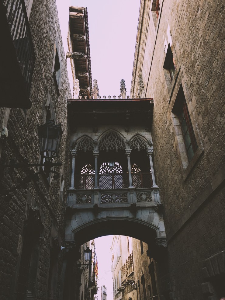 Processed with VSCO with a6 preset